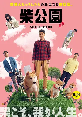 中文字幕免费观看视频