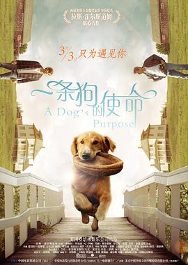 菠萝菠萝蜜在线观看6