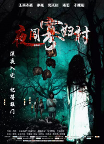 成人午夜精品视频在线观看