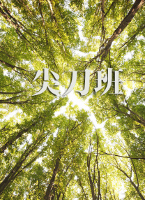 欧美夫妻性生活视频