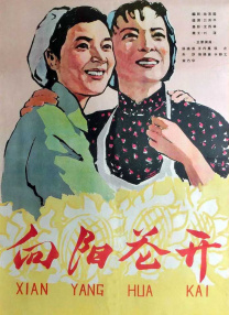1000摄影唯美艺术摄影图片专家